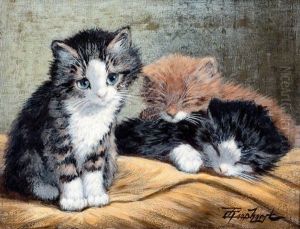 Drie Kittens