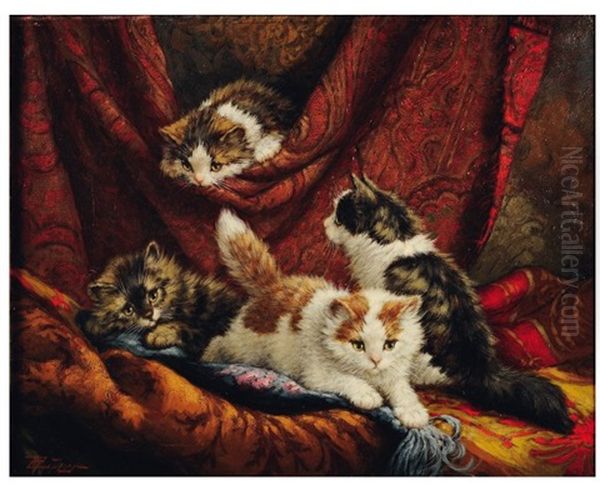 Chatons Jouant Dans Les Rideaux - view 1