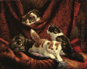 Chatons Jouant Avec Les Rideaux Chatons Jouant Avec Les Rideaux