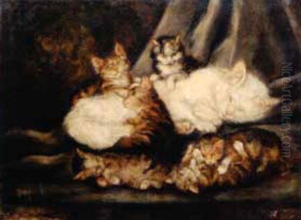Cat With Kittens - view 1