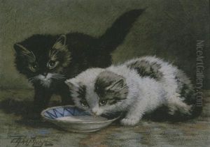 Twee Melk Drinkende Poesjes