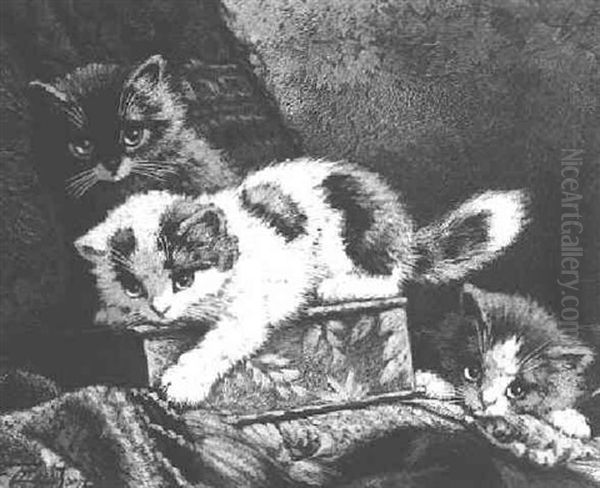 Three Kittens Playing With A Box - view 1