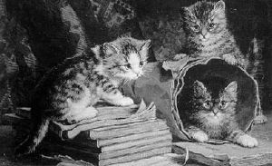 Drie Spelende Katjes by Cornelis Raaphorst