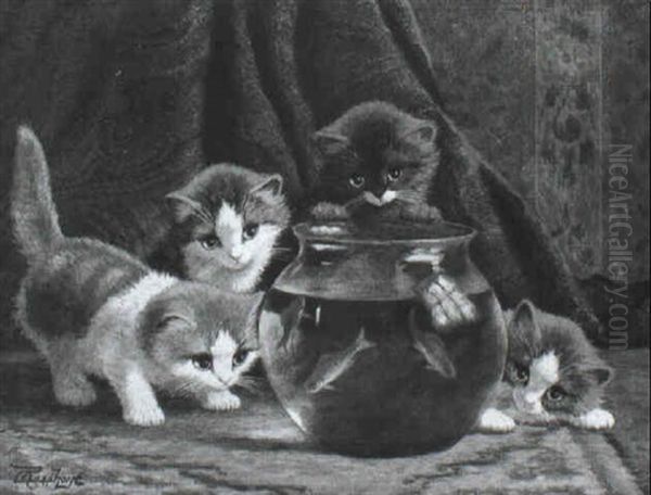 Curious Kittens - view 1
