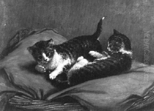 Two Playful Kittens - view 1