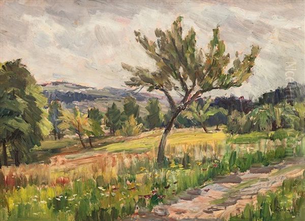 U Potoka - view 1