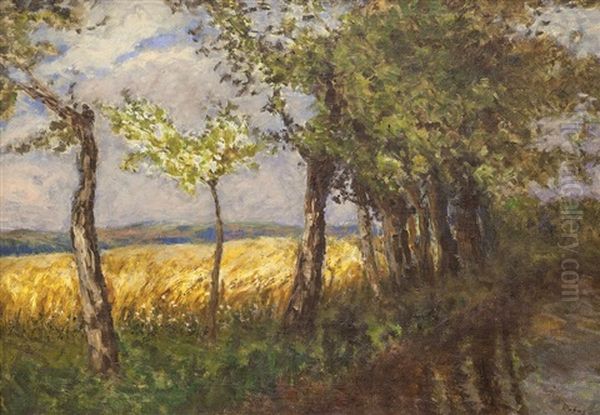 Zlate Obili - view 1
