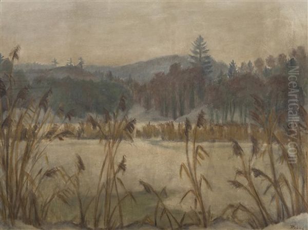 A Pond In The Wintertime - view 1