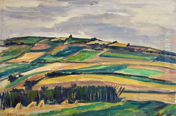 Krajina Ve Znich - view 1