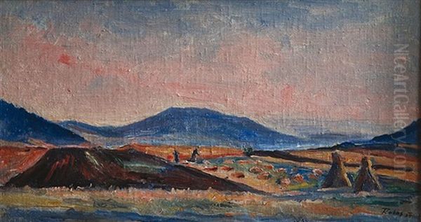Krajina V Letnim Slunci - view 1