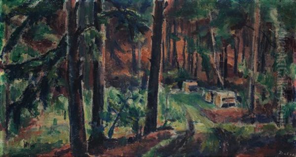Lesni Cesta - view 1