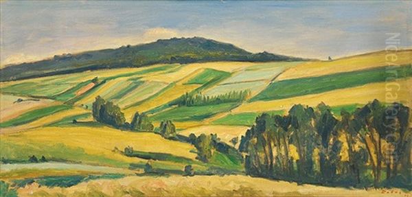 Small Fields - view 1