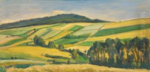 Small Fields by Vaclav Rabas