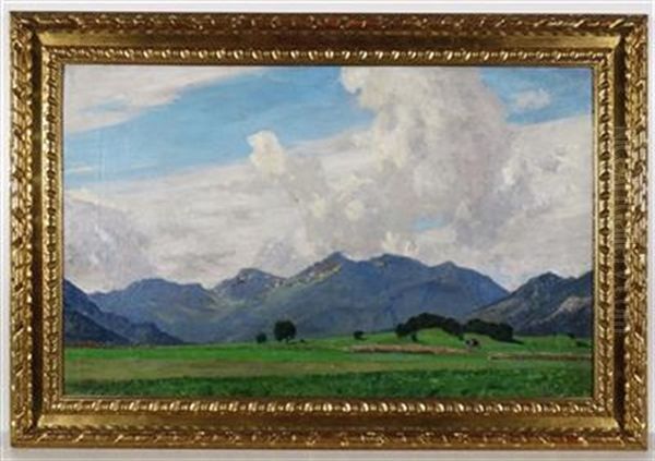 Sommermorgen Im Chiemgau - view 1