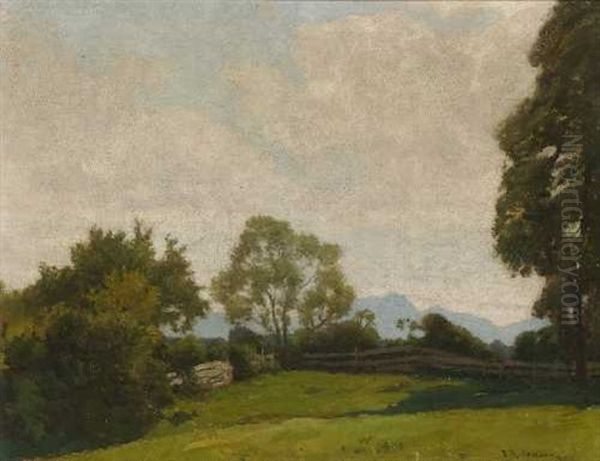 Weide In Sommerlicher Voralpenlandschaft - view 1