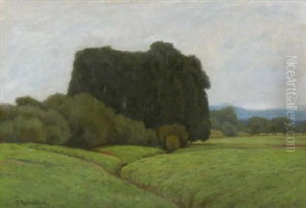 Baumlandschaft - view 1