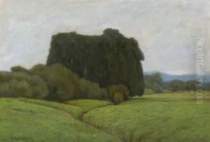 Baumlandschaft Baumlandschaft