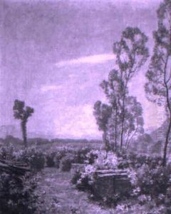 Landschaft Mit Jungen Weiden