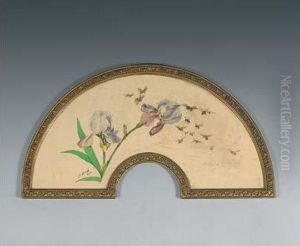 Iris Et Moustiques, Projet Pour Un Eventail Iris Et Moustiques, Projet Pour Un Eventail