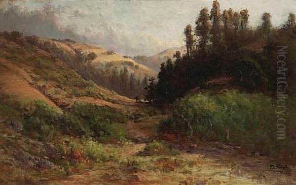 Rolling Hills (marin?) - view 1