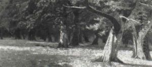 Woodland View With Deer Resting Under The Shade