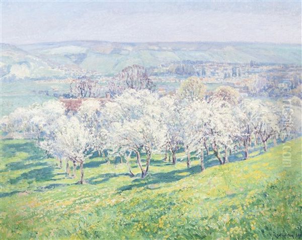 Flowering Orchard - view 1