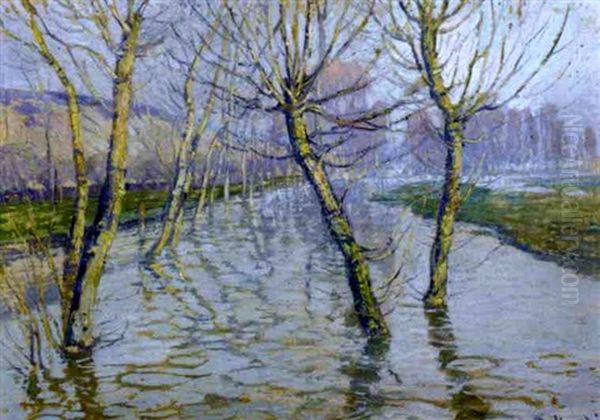 A View Of Trees In A Flooded Field - view 1