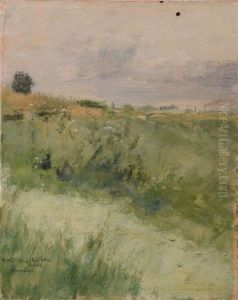 Paysage