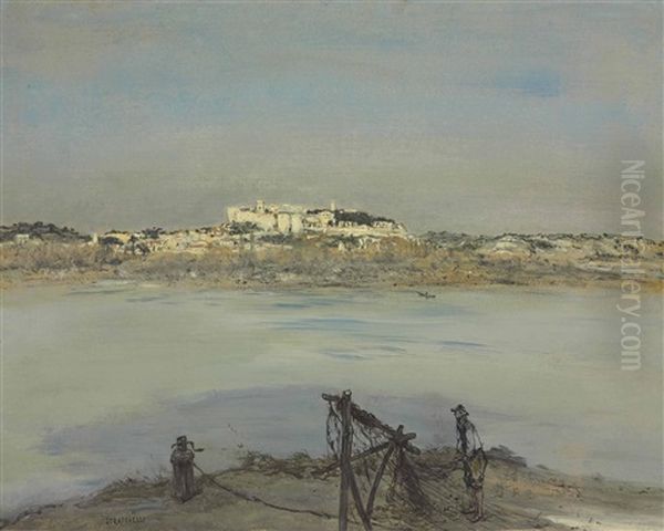 Le Rhone A Avignon - view 1