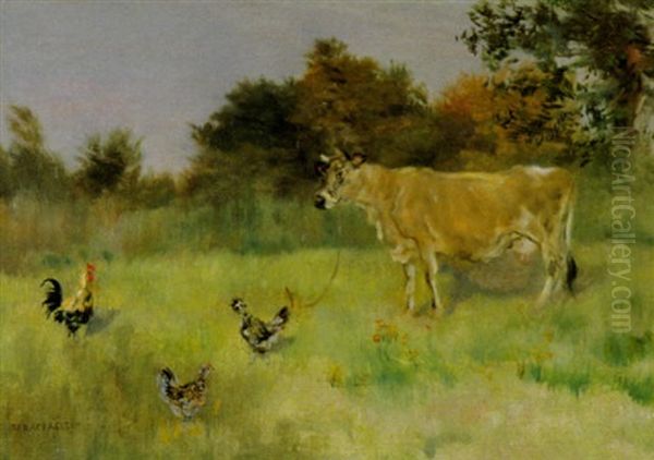 Kuh Und Huhner Auf Der Weide - view 1