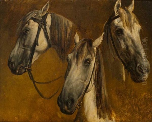Trois Etudes De Tete De Cheval Gris (study) - view 1