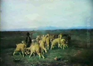 Lotta Di Montoni Nella Campagna Romana