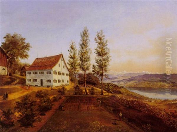 Blick Auf Den Zurichsee - view 1