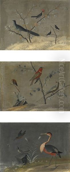 Exotic Birds In Landscapes: A Set Of Three Paintings - view 1