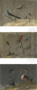 Exotic Birds In Landscapes: A Set Of Three Paintings by Carlo Antonio Raineri