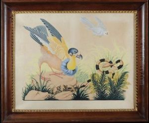 Uccello Con Serpente