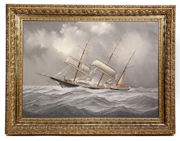 Ship 'western Belle' In Gale Force Storm - view 1