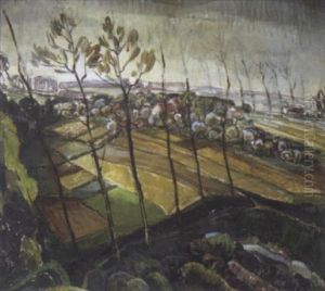 Landschap Landschap