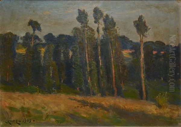 Futaie Et Clairiere - view 1