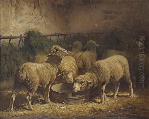 Sheep In A Stable - view 1