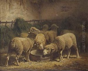 Sheep In A Stable