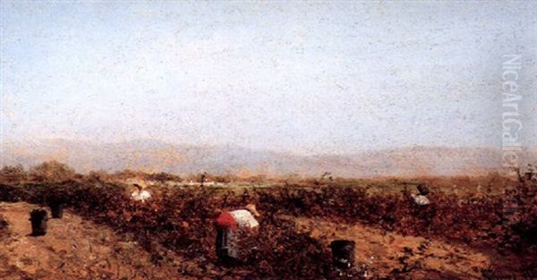 Recogida Del Algodon - view 1