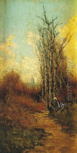 Bosque En Invierno - view 1