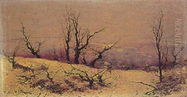 Invierno - view 1