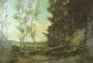 Claro En El Bosque by Manuel Ramos Artal