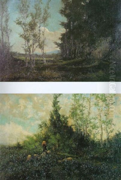 Claro En El Bosque - view 1