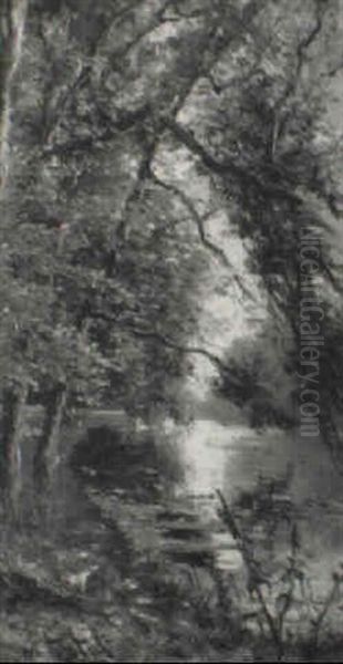 Arboles Junto Al Lago - view 1