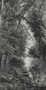 Arboles Junto Al Lago by Manuel Ramos Artal