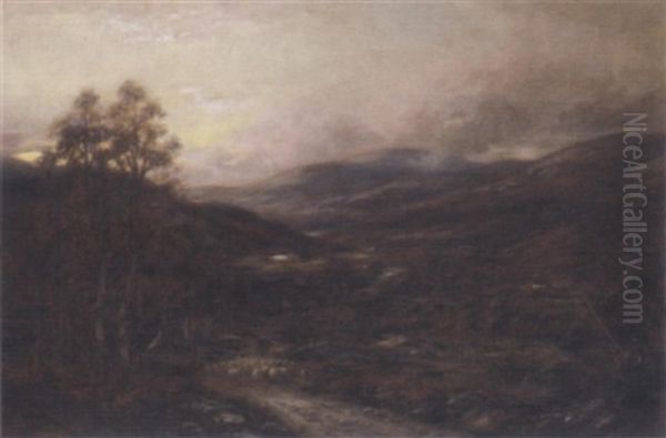 Mount Battock, Glenesk - view 1