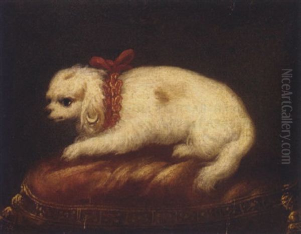 A Spaniel On An Embroidered Red Cushion - view 1